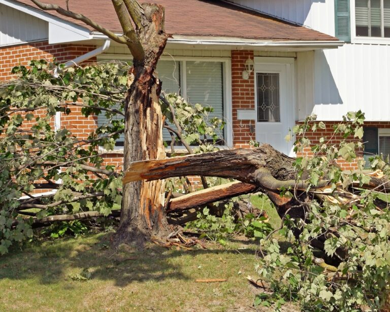 Storm Damage Restoration