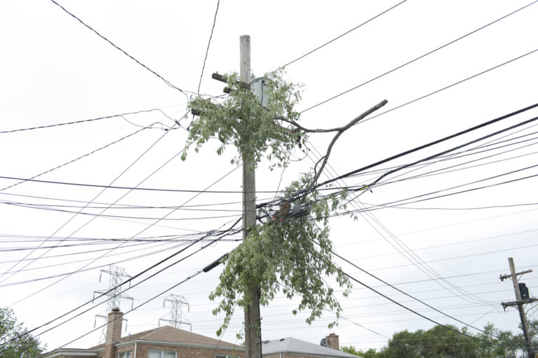 Utility Line Cleanup